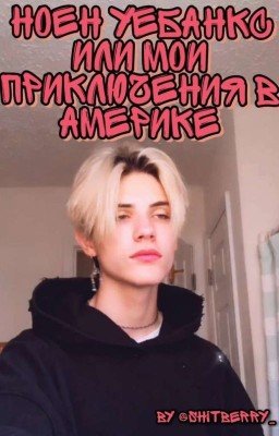 Ноен уебанкс или мои приключения в Америке