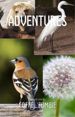 Приключения птичек и их спутников