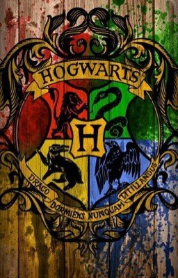 Приключения в Дурмстранге и Хогвартсе