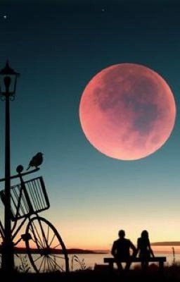 Сын маминой подруги