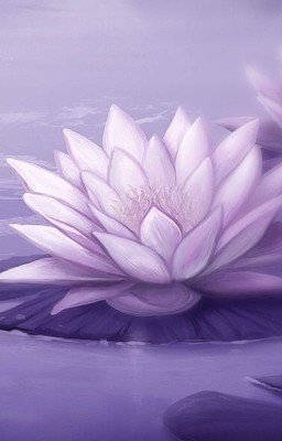 Новое поколение и новые приключения.