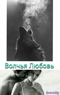 Волчья Любовь.