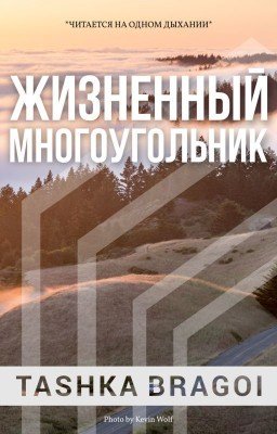 Жизненный многоугольник