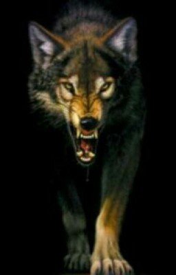 Лунные оборотни.