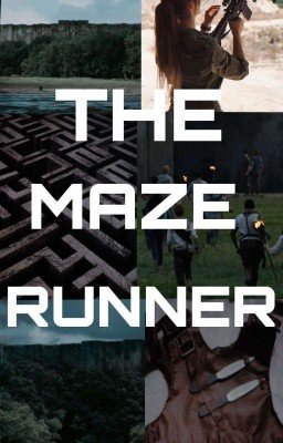 Всегда рядом. Бегущий в Лабиринте 1.