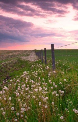 Приключения Троих.