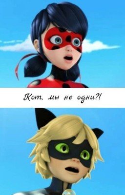 Кот, мы не одни?!