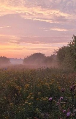 я всё помню