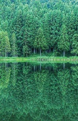 Истинная Альфа-самка