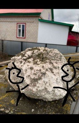 Приключения друзей