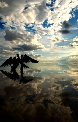 А смогут ли крылатые быть свободны?