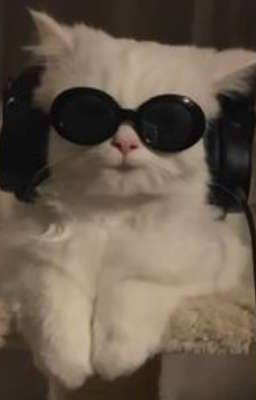 очередные приключения.