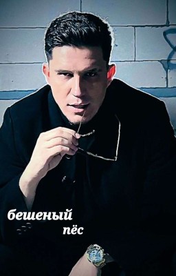 Бешеный пёс ( Димиль )
