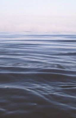 В его глазах я видел море.