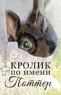 Кролик по имени Поттер