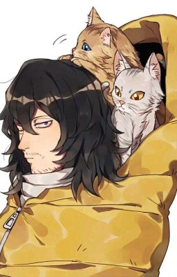 Моя геройская академия <BNHA>/завершён/