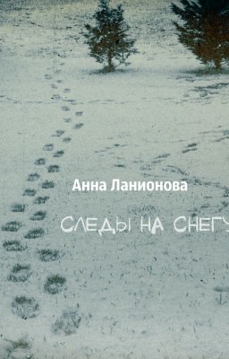 Следы на снегу