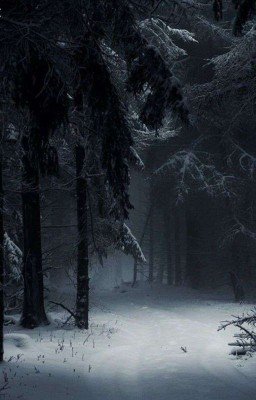 Новогоднее чудо или приключения лесничего