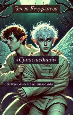 «Сумасшедший»