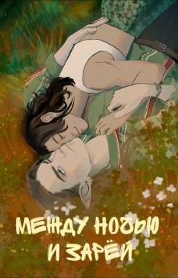 Между ночью и зарёй