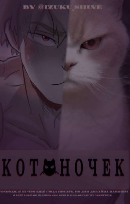 котёночек