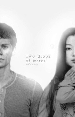 Две капли воды