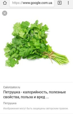 лезби над геем