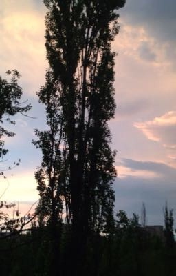 Осень