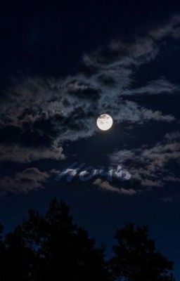 Ночь.