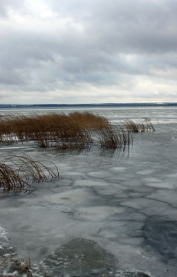 Толкователь.