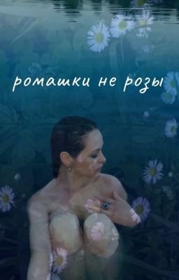 ромашки не розы 