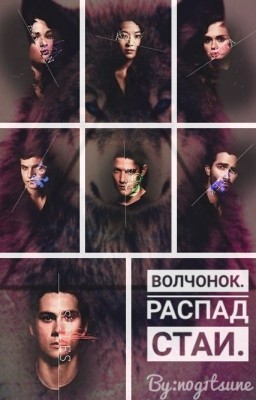 Волчонок.Распад стаи.