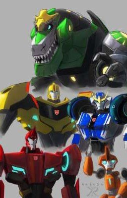 Жизнь на свалке или как найти своё счастье?