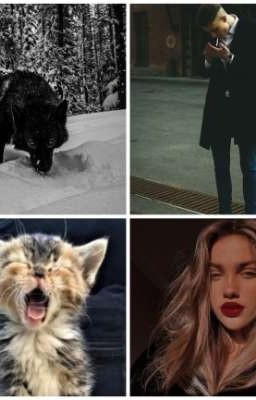 Не покидай меня котёнок... 
