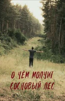 О чём молчит сосновый лес