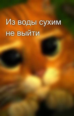 Из воды сухим не выйти