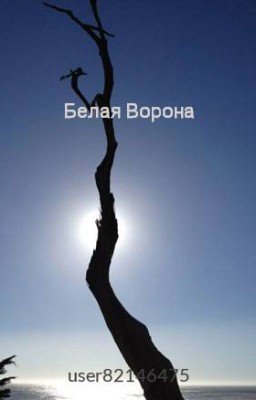 Белая Ворона