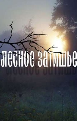 Лесное затишье