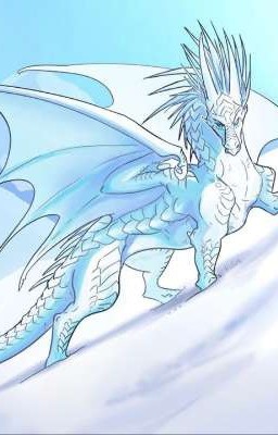 dragon rank