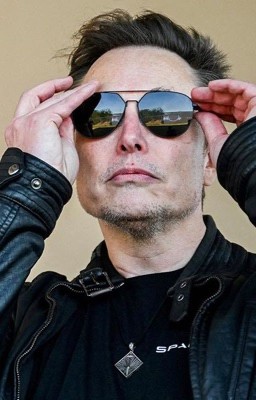 Вино из одуванчиков. Или как Илон проводил первые дни лета. 