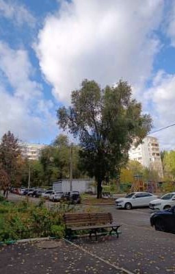 Проза человека, попавшего в никотиновую зависимость. 