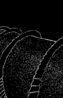the effect of the void