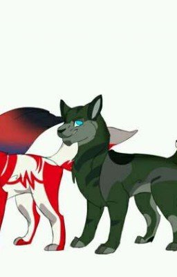 Трансформеры или кошачье приключение с Селин.