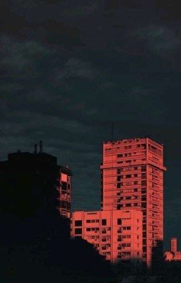 Эта ночь подарит сон✨🌌