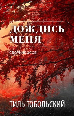 Дождись меня. Сборник эссе