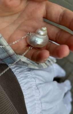 порнозвёзды продолжение