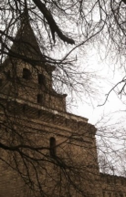 ~Рассказы~