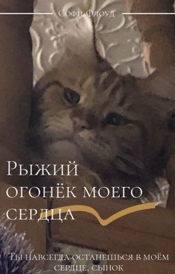 Рыжий огонёк моего сердца 