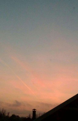 Драконья сага. Полукровка.