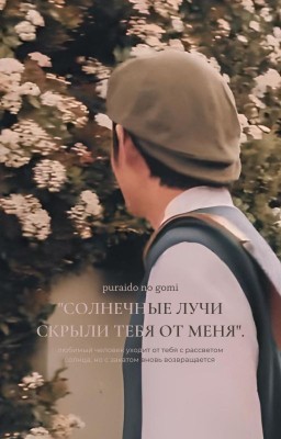 Солнечные лучи скрыли тебя от меня